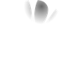 Huawei Huawei